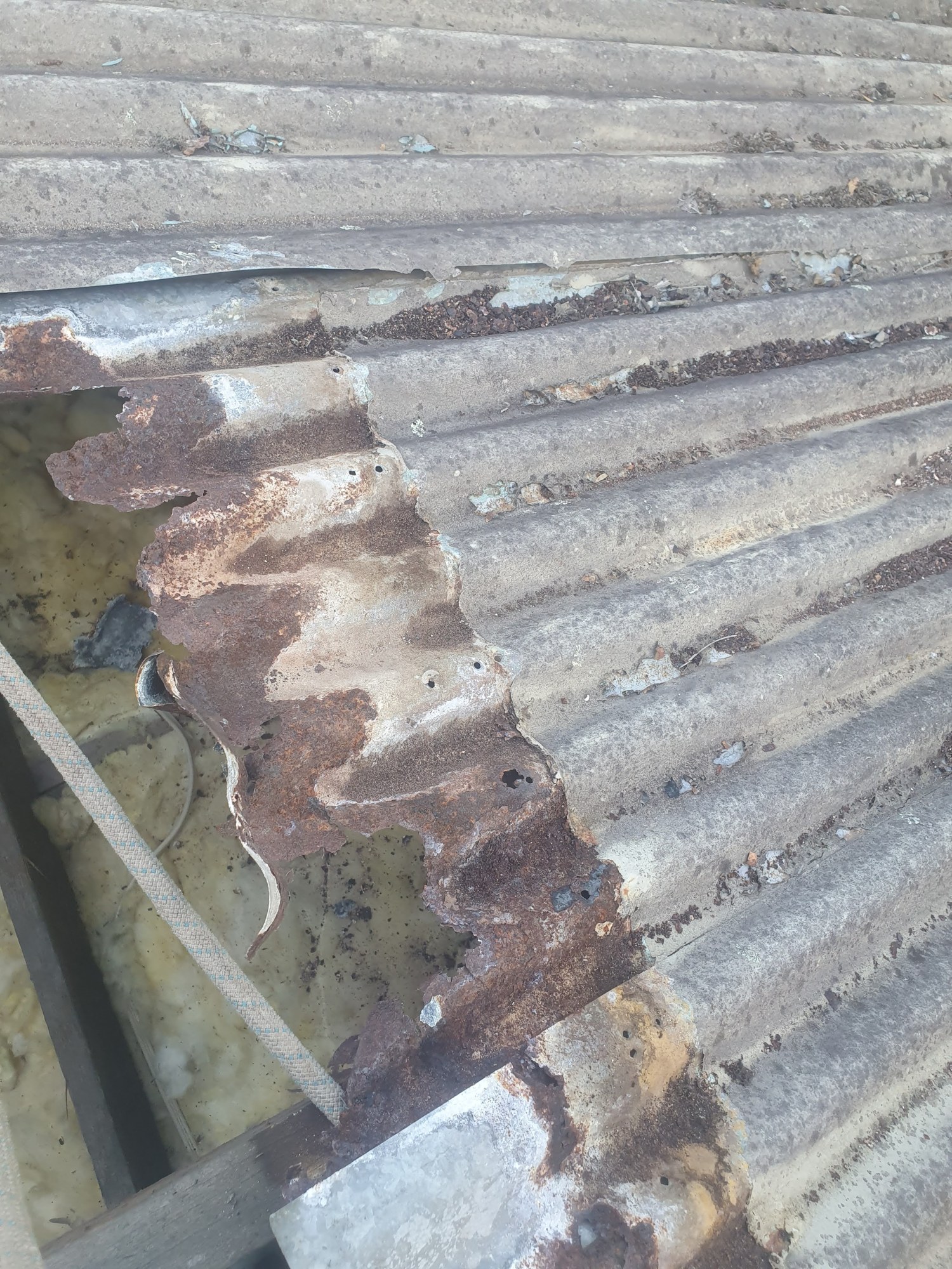 Holgate renovation — Existing roof corrosion before replacement